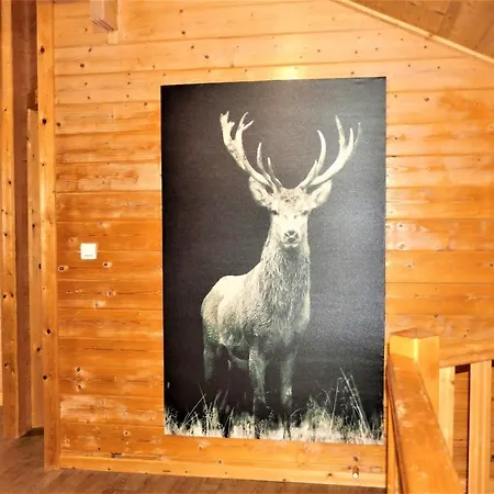 شاليه Chalet Skadi *