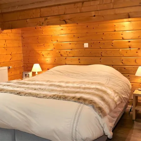 Chalet Skadi *