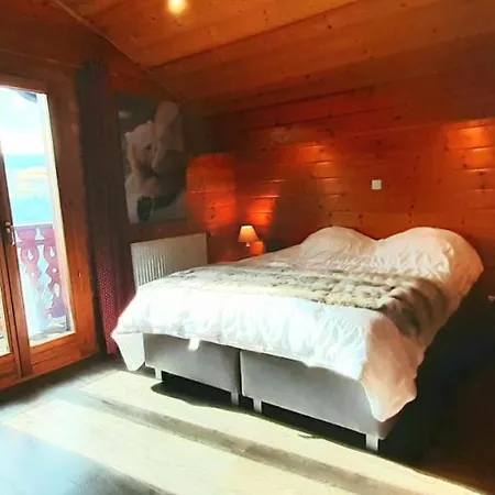 Chalet Skadi *